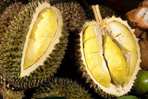 SẦU RIÊNG ĐẠ HUOAI – HƯƠNG VỊ ĐẶC TRƯNG CỦA LÂM ĐỒNG