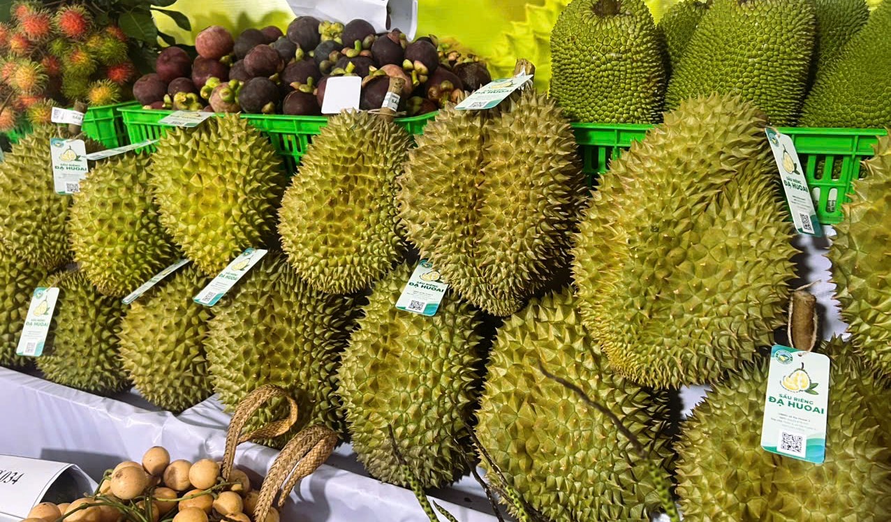 Sầu riêng Dona tươi